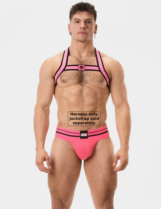 Barcode Berlin Arnés Colin Pink