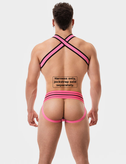 Barcode Berlin Arnés Colin Pink