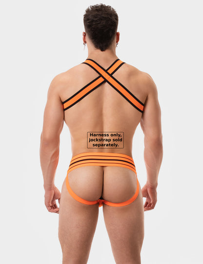 Barcode Berlin Colin Miesten Harness Orange
