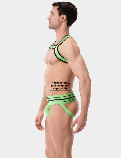 Barcode Berlin Harnais Colin Green