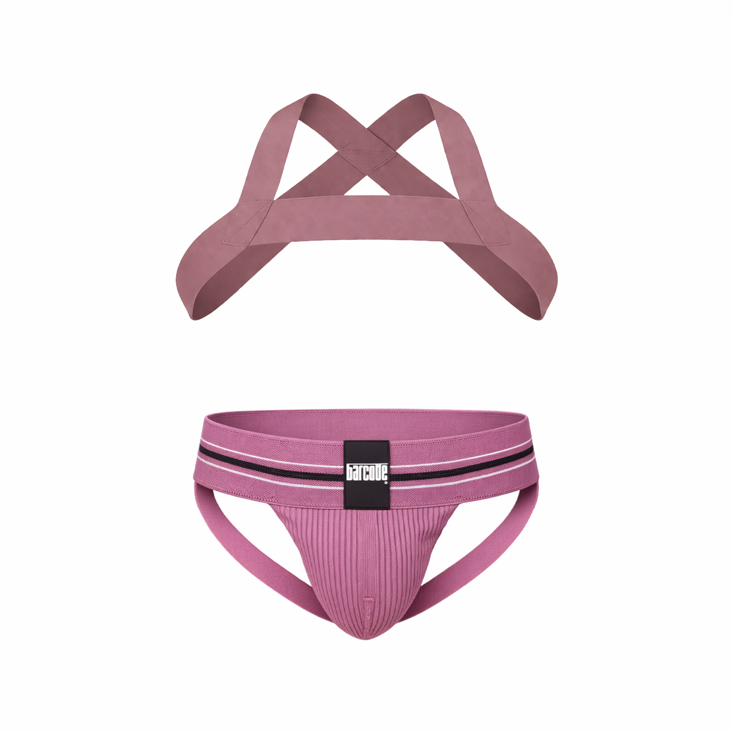 Barcode Berlin Multipack 1x Boris Jockstrap + 1x Harness Matt Brownishpurple