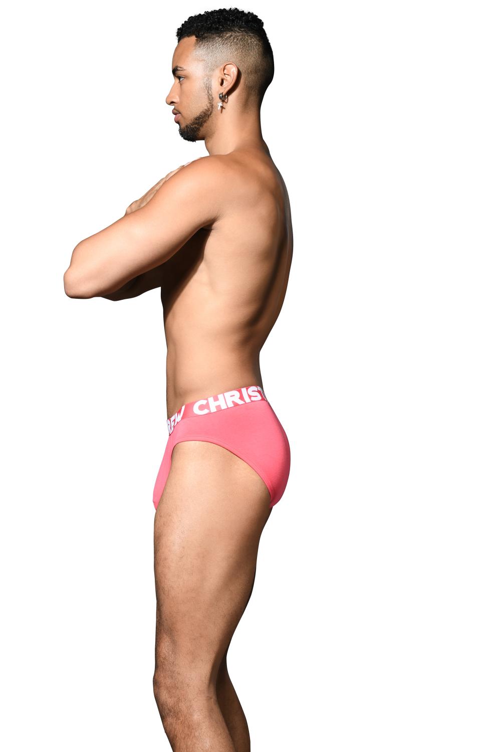 Andrew Christian TROPHY BOY® Bamboo Brief (For Hung Guys) Teaberry