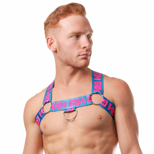 Garçon Sobe Circuit Harness