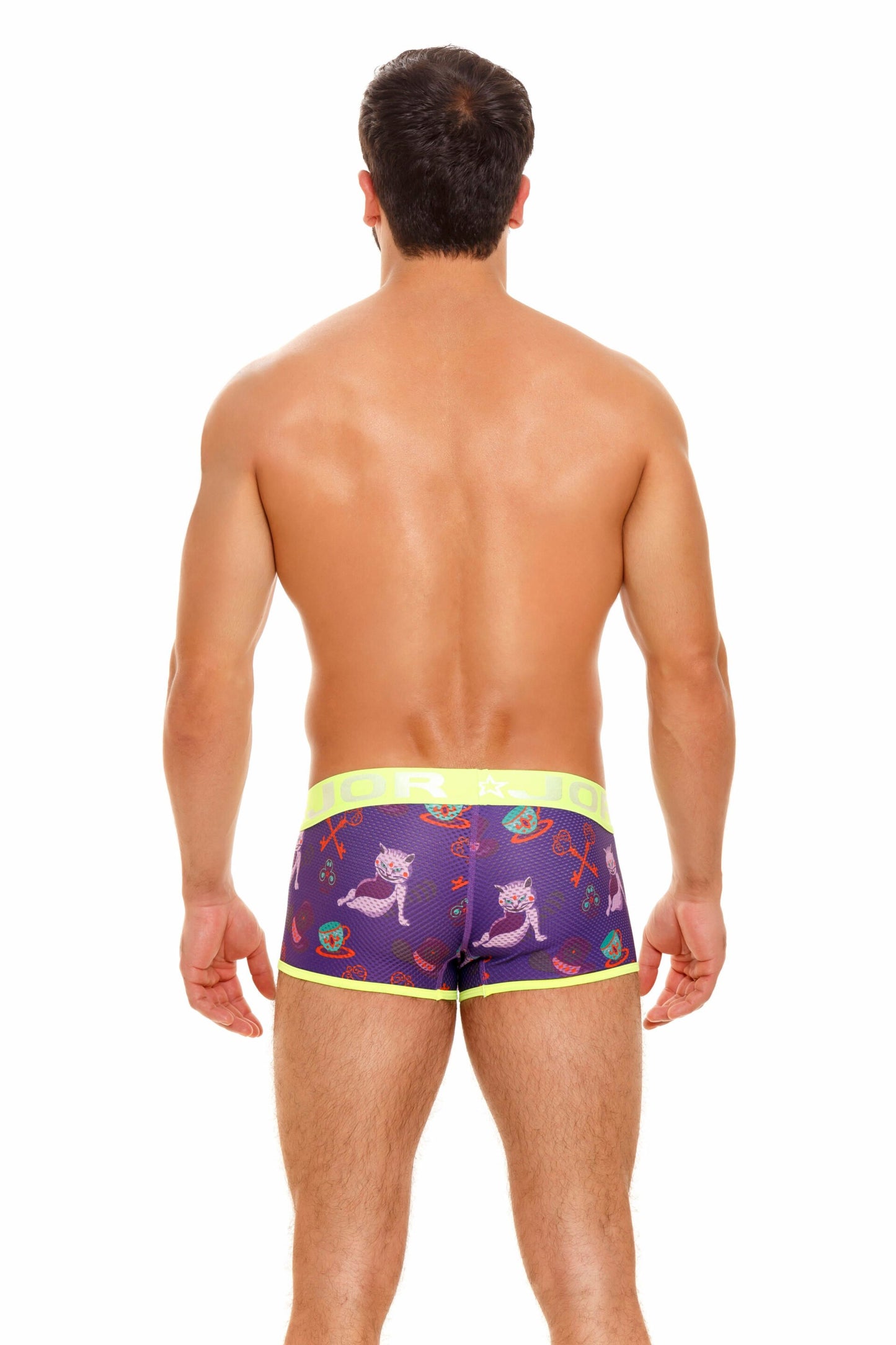 JOR Wonderland Boxer